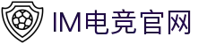 IM(股份有限公司)电竞-电子竞技平台
